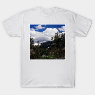 Logan's Pass, Glacier N.P., Montana T-Shirt